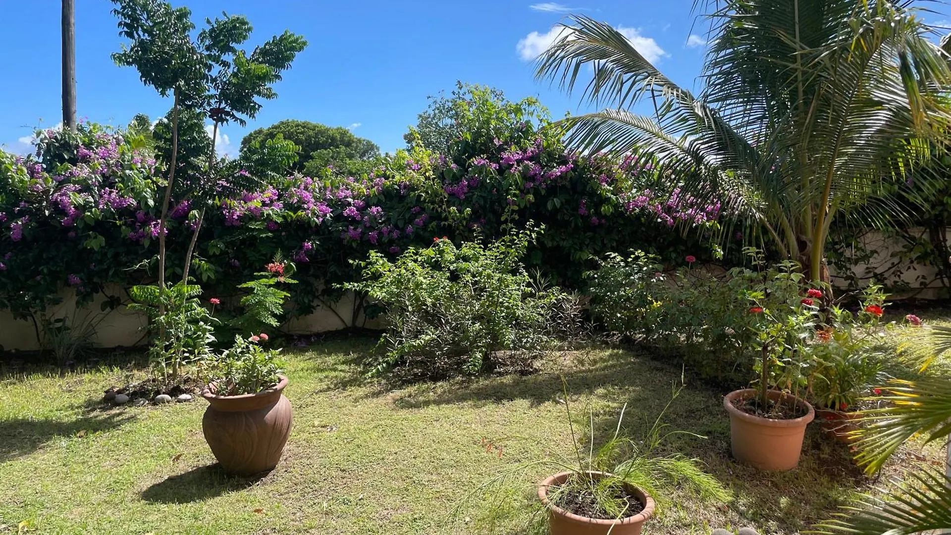 Casamango Villa Basse-Terre Guadeloupe